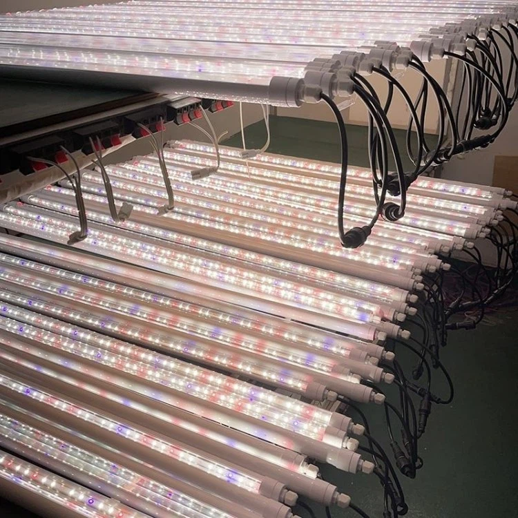 led growing full spectrum led growing full spectrum