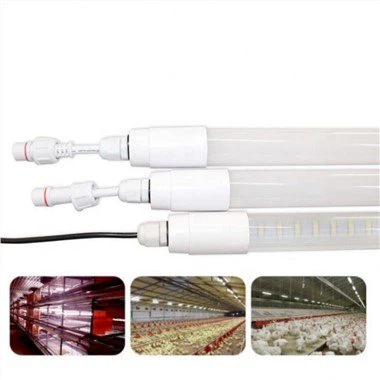 Hühnerstall-Beleuchtungsset