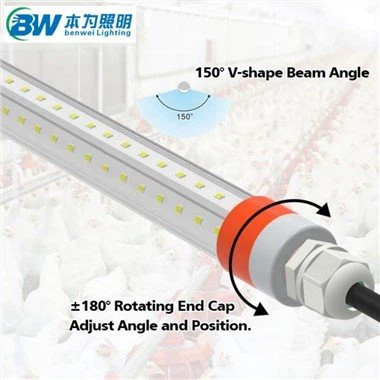 Beleuchtungssystem für Geflügel