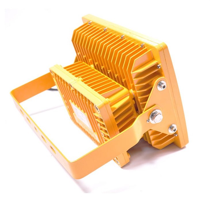 Explosion Proof Emergency Lighting back