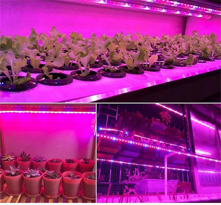 Led Plant Grow Strip Light 1
