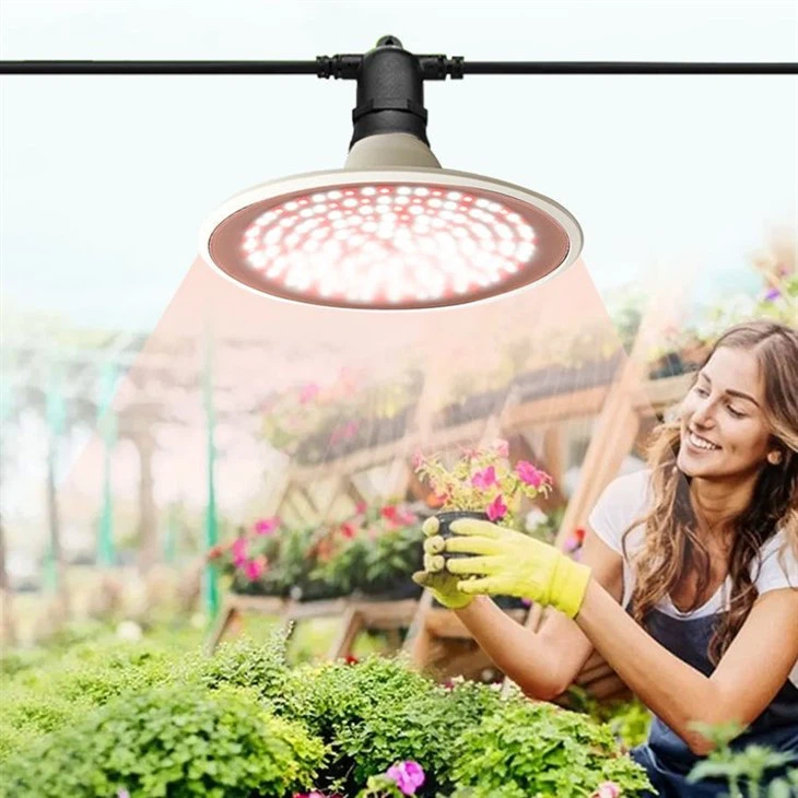 Blue 450nm Red 660nm Spectrum Led Solar Powered Grow Lights 2