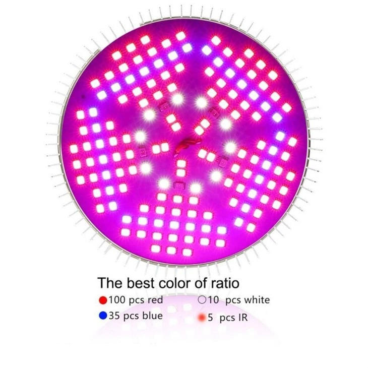 grow lamps for seedlings