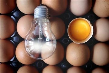 Auswirkungen der Lichtfarbe auf die Gesundheit und das Wohlbefinden von Geflügel