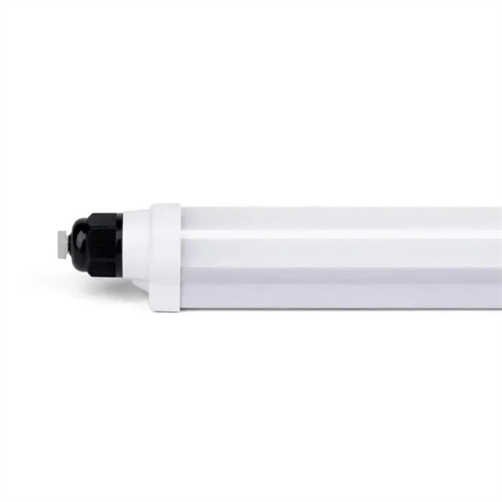 lighting for broilers breeders