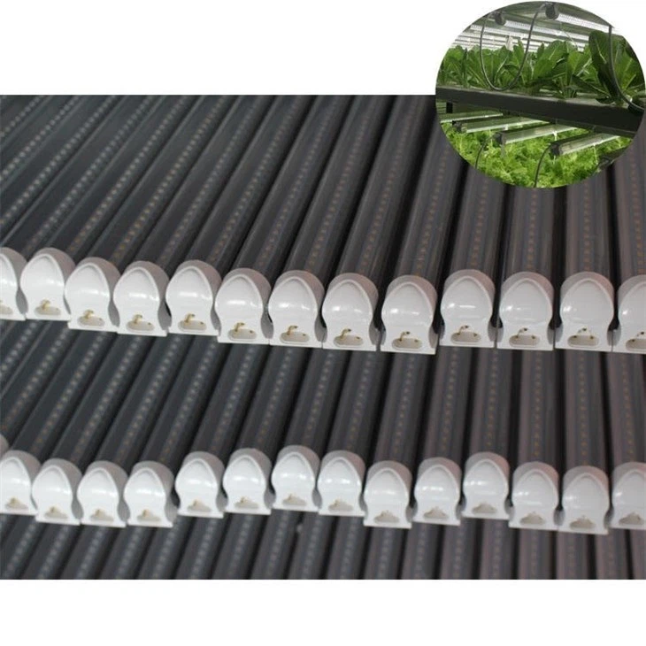 grow lights for indoor plants