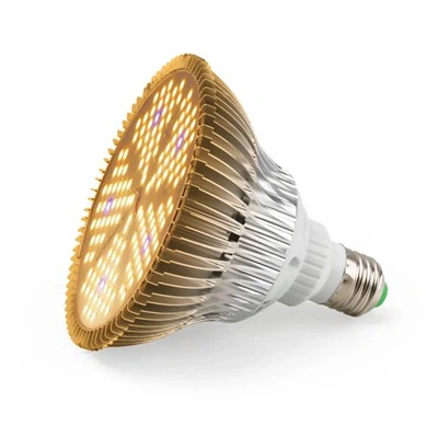 Glühbirnen-Wachstumslicht