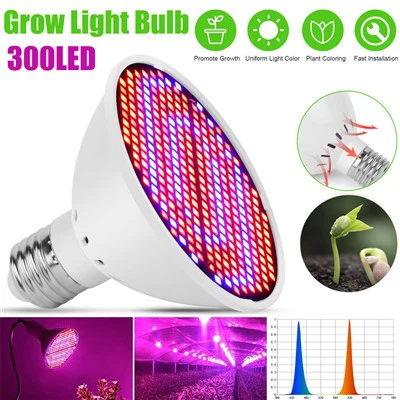 E27 300 LED-Wachstumsglühbirne