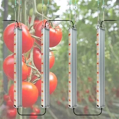 Integrierte Vollspektrum-Tomaten-Anbaulampen