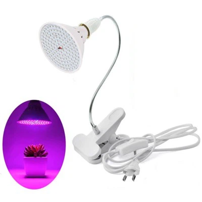 Vollspektrum-Glühbirnen für Pflanzen