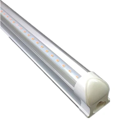 Wachstumslichter für Setzlinge