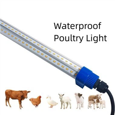 Geflügelstall-LED-Beleuchtung