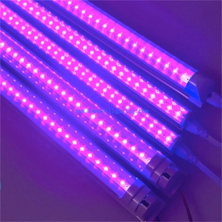Disinfection Light (4)