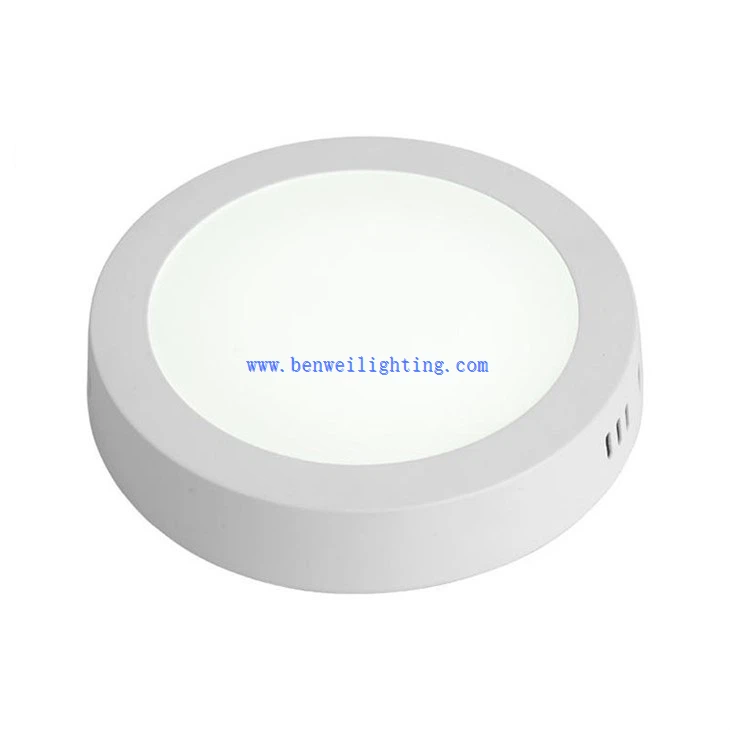 Disk Shaped Ceiling Light (2)