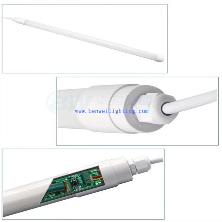 Egg Incubator Light (5)