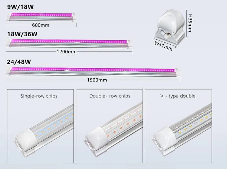 grow light grow light
