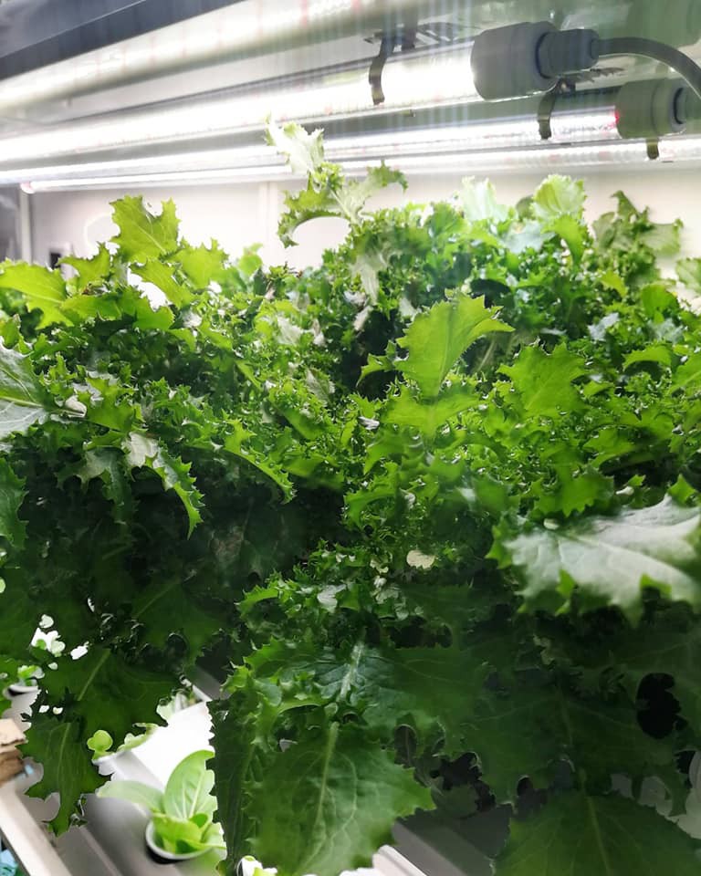 info-768-960 info-768-960