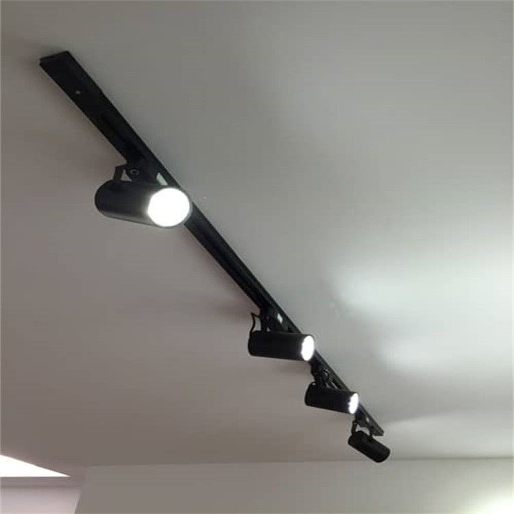 Home Track Light 2