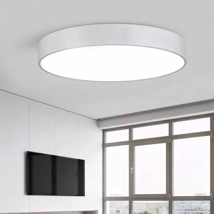LED Ceiling Lamp Dimmable Circular Home suppliers