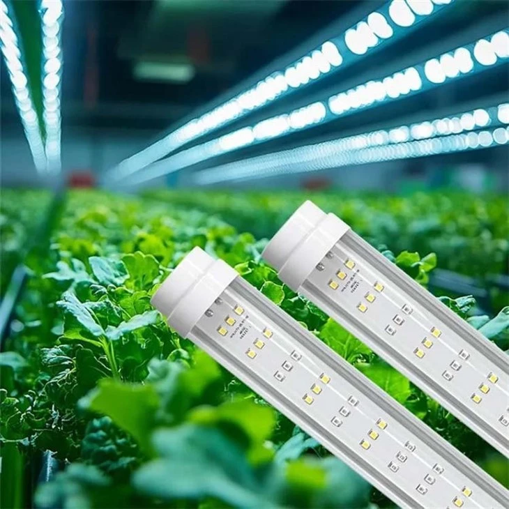 plant grow light