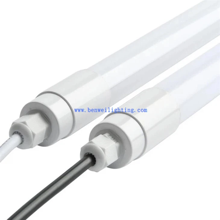 Poultry Heating Lamp (2)