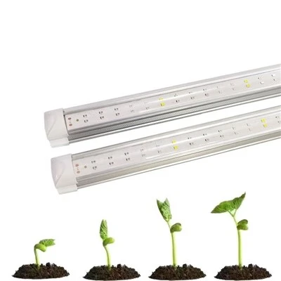 Booster T8 LED-Röhren-Pflanzenlicht